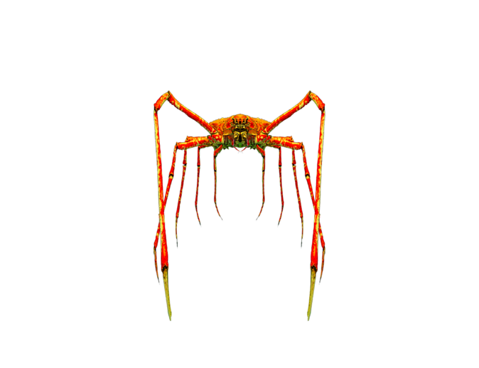 Crab Spiders PNG File