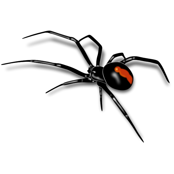 Crab Spiders PNG Isolated Pic