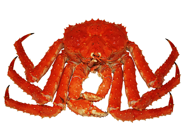 Crab Spiders PNG Picture