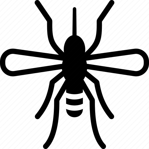 Crane Fly PNG Clipart