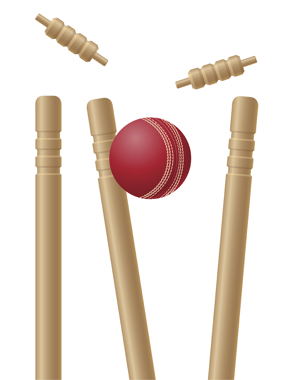 Cricket PNG Photos
