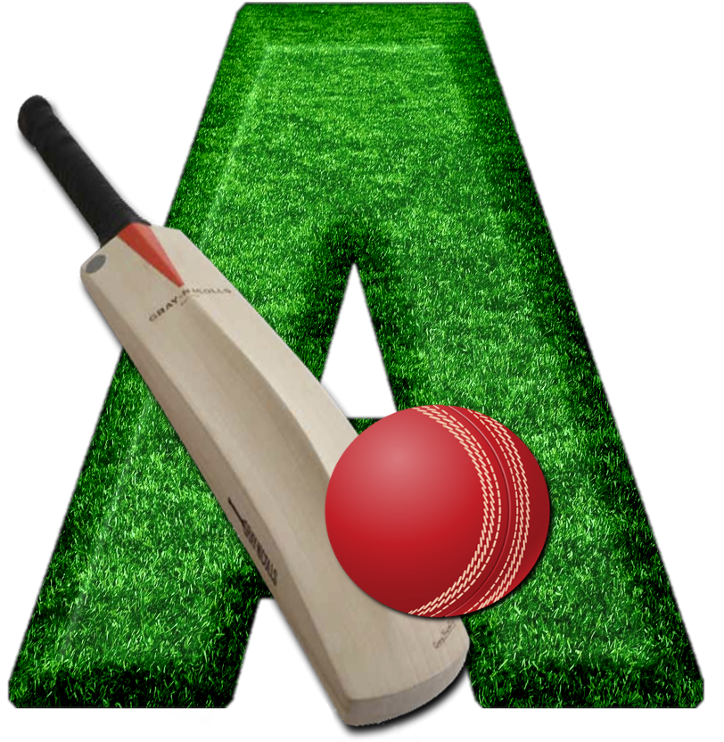 Cricket PNG Transparent HD Photo