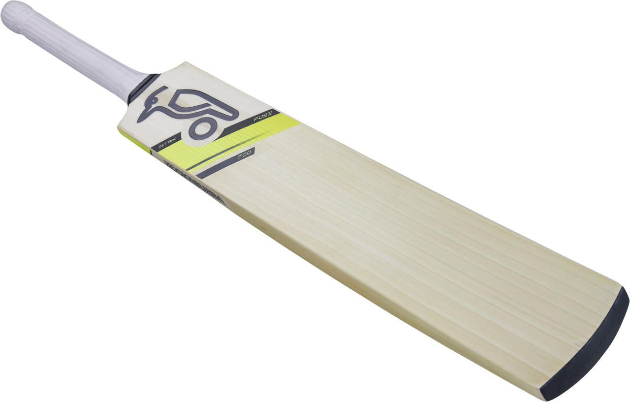 Cricket PNG Transparent