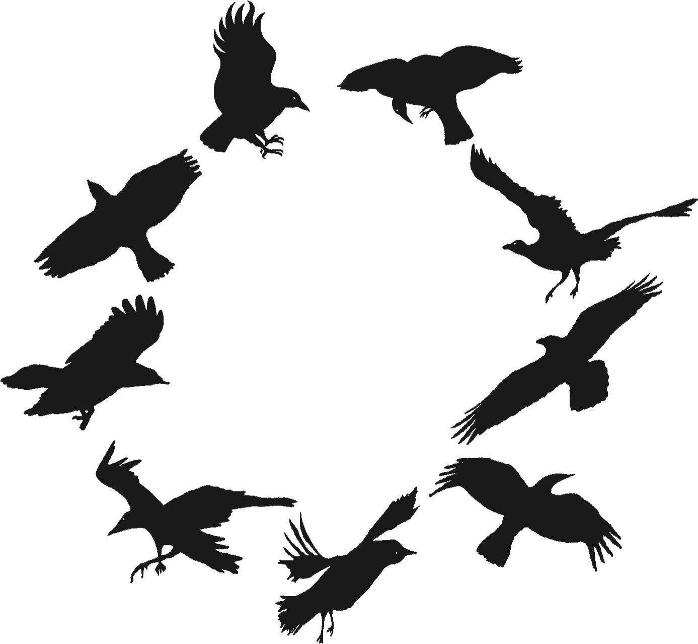 Crows PNG Image