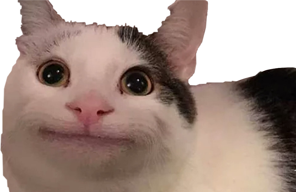 Crying Cat Meme PNG File