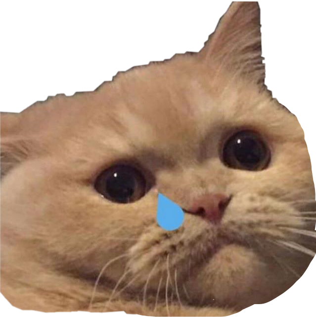 Crying Cat Meme PNG Image