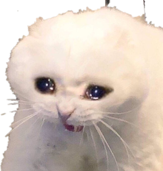 Crying Cat Meme PNG Isolated Image