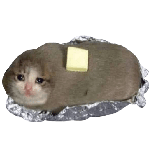 Crying Cat Meme PNG Isolated Photo