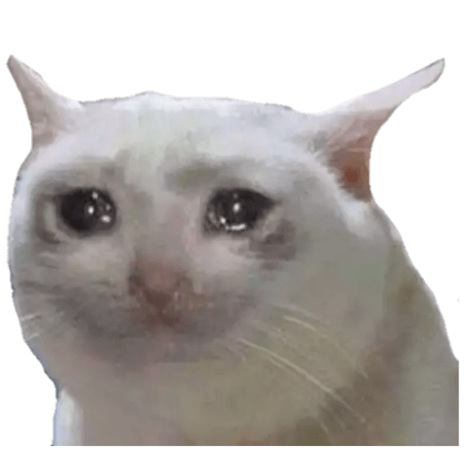 Crying Cat Meme PNG Photo