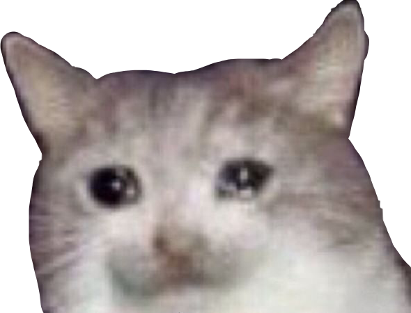 Crying Cat Meme PNG Pic