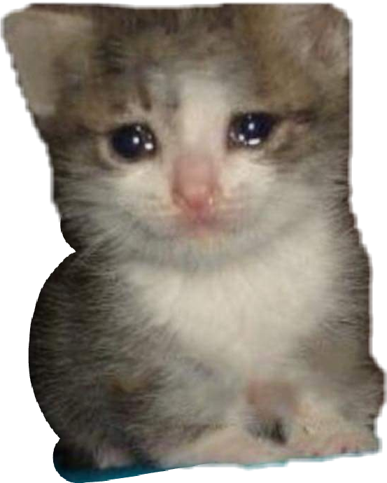 Crying Cat Meme PNG