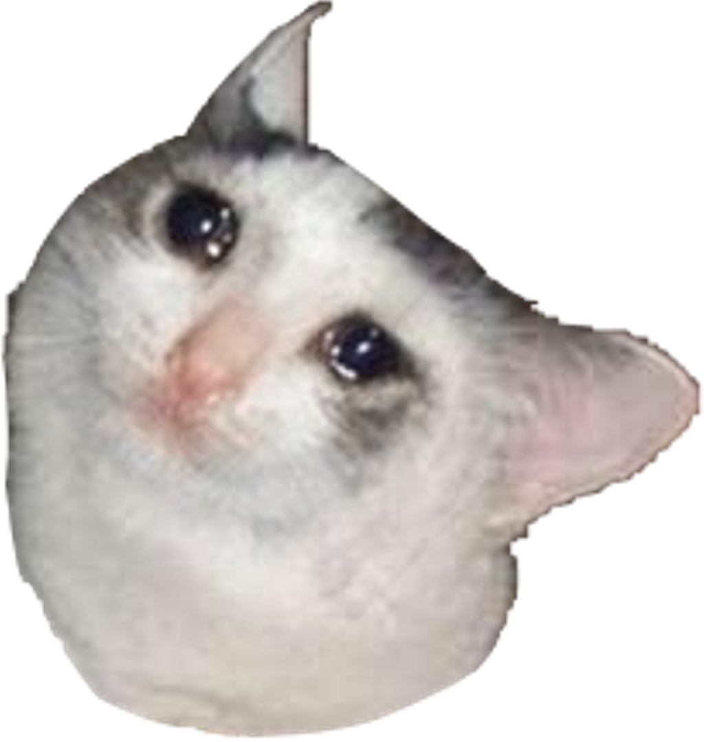 Crying Cat Memes PNG HD