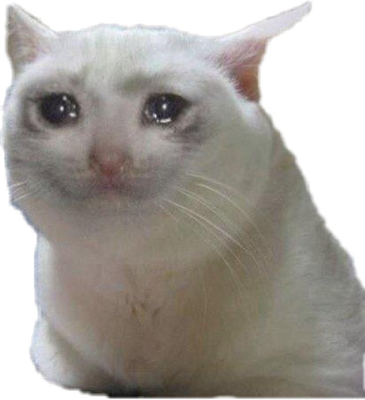 Crying Cat Memes PNG