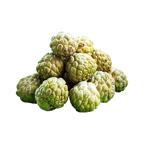 Custard Apple PNG Isolated File