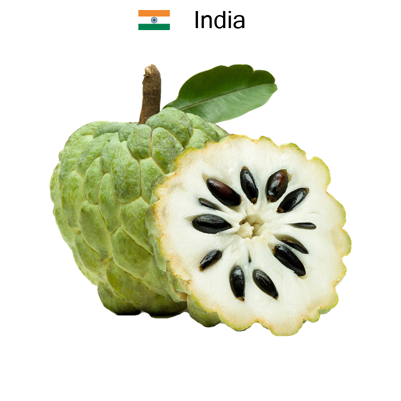Custard Apple PNG Isolated Image