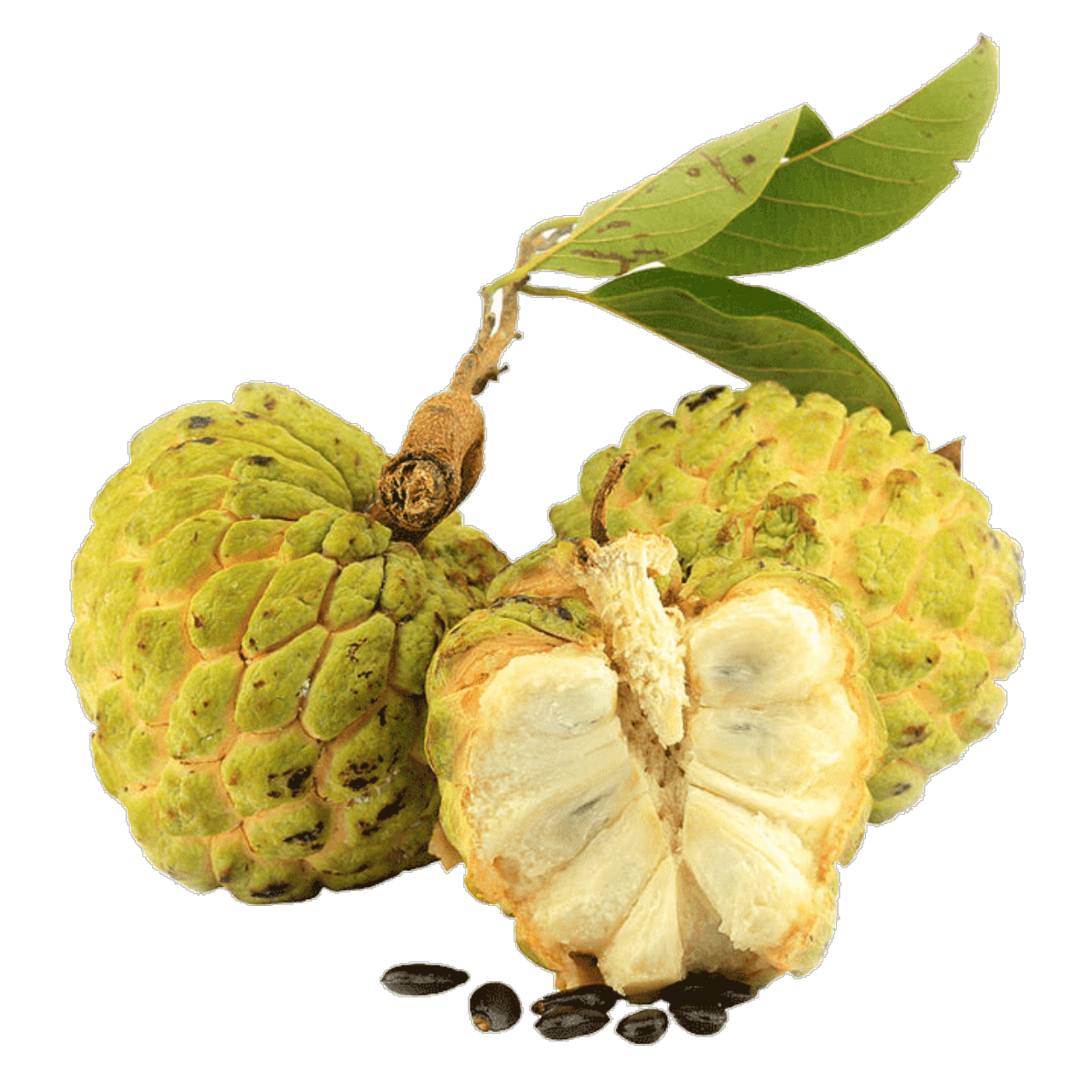 Custard Apple PNG Isolated Pic