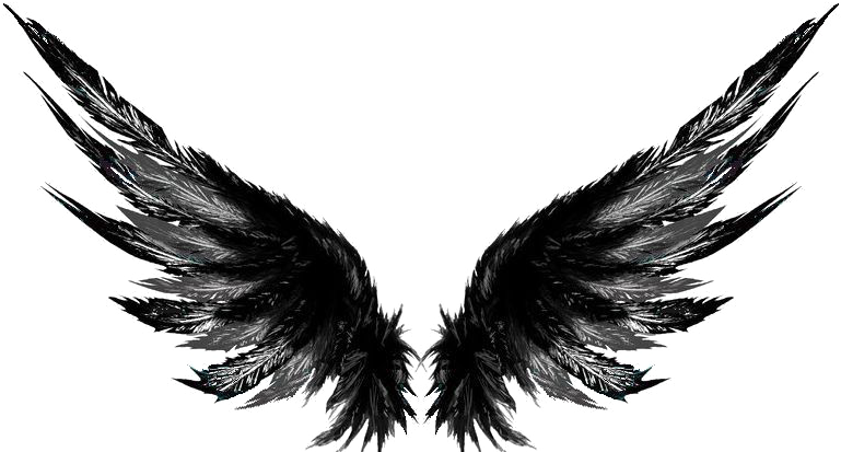Dark PNG Picture
