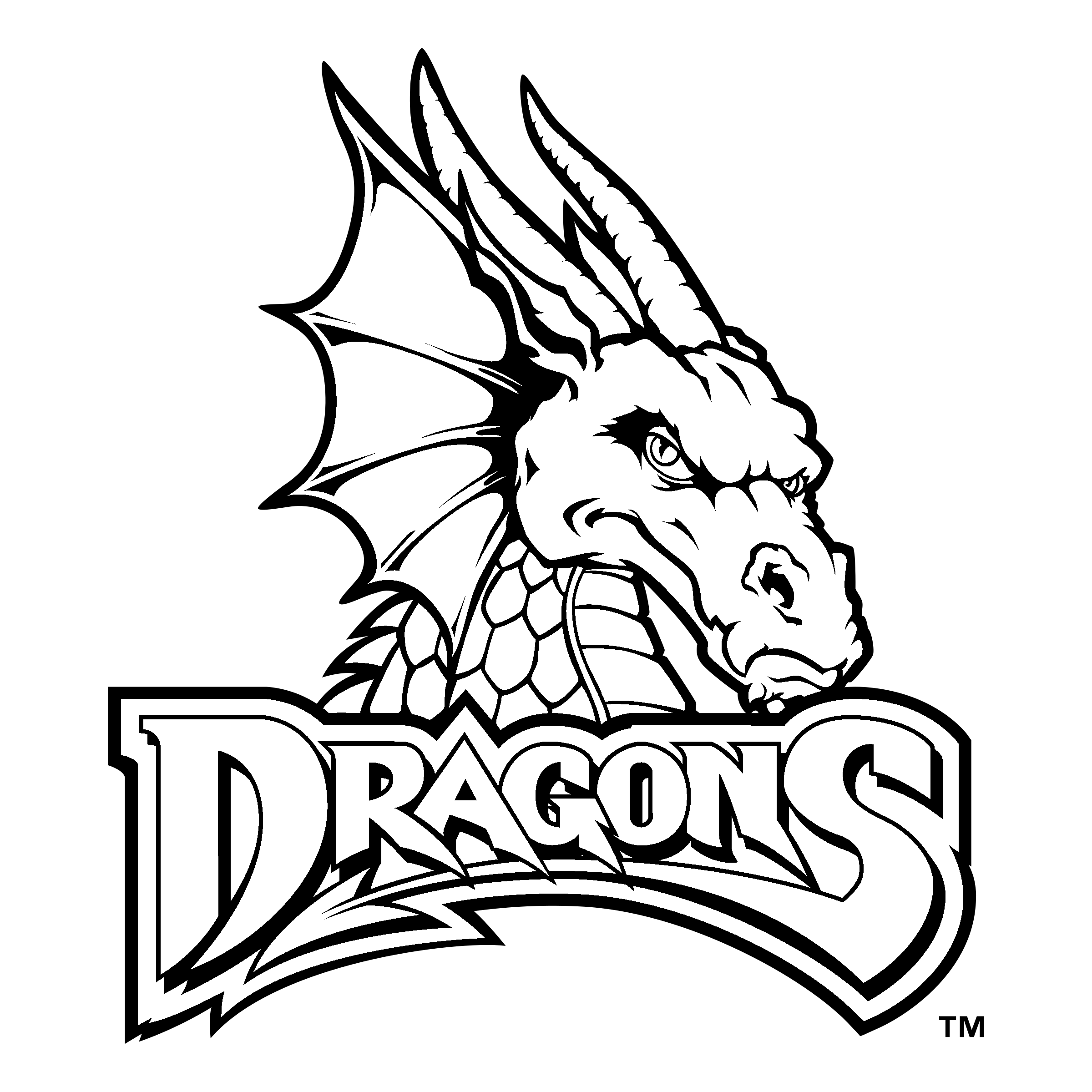 Dayton Dragons PNG HD