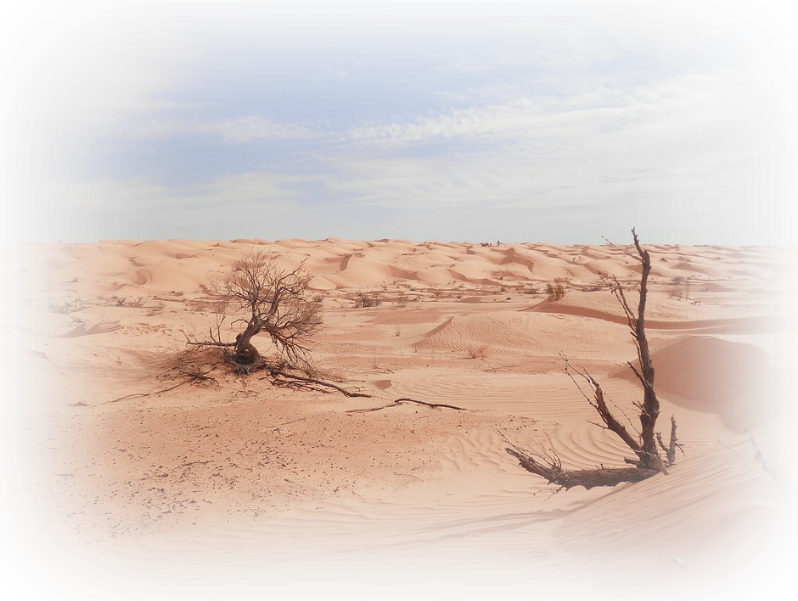 Desert Land PNG Pic
