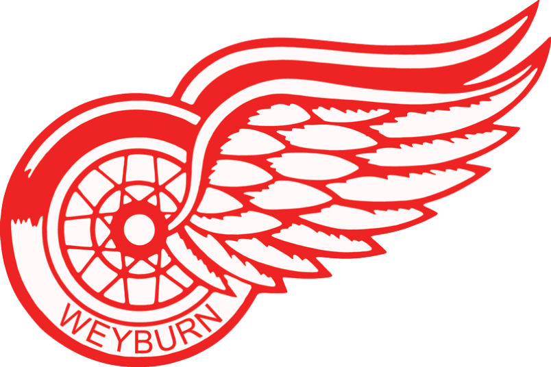 Detroit Red Wings PNG
