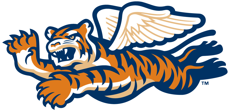 Detroit Tigers PNG Pic