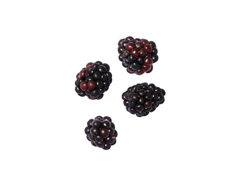 Dewberry PNG File
