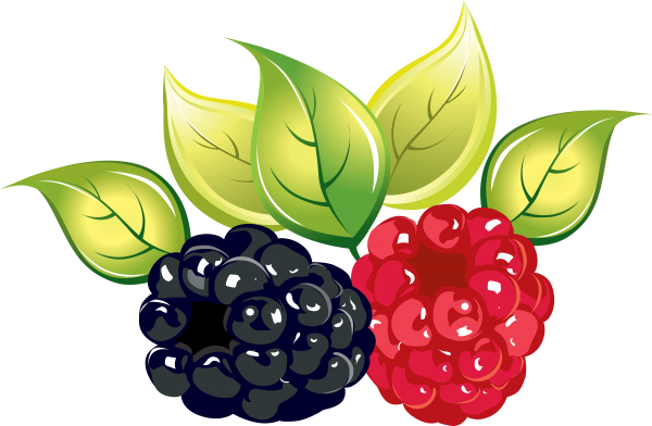 Dewberry PNG Photo