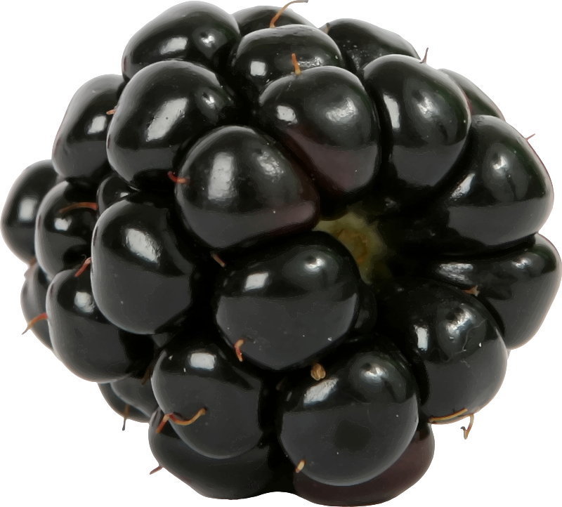 Dewberry PNG Photos