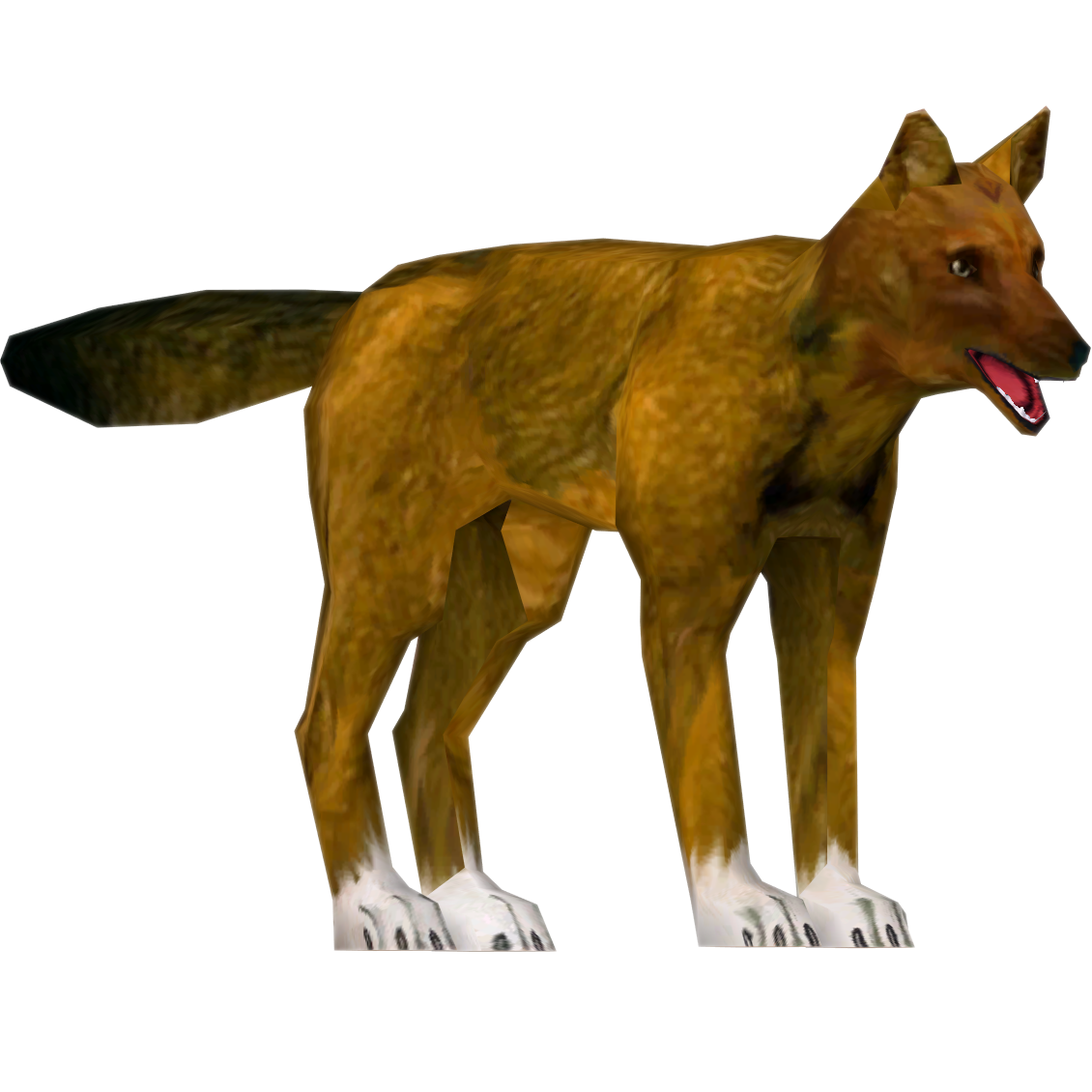 Dhole PNG Free Download