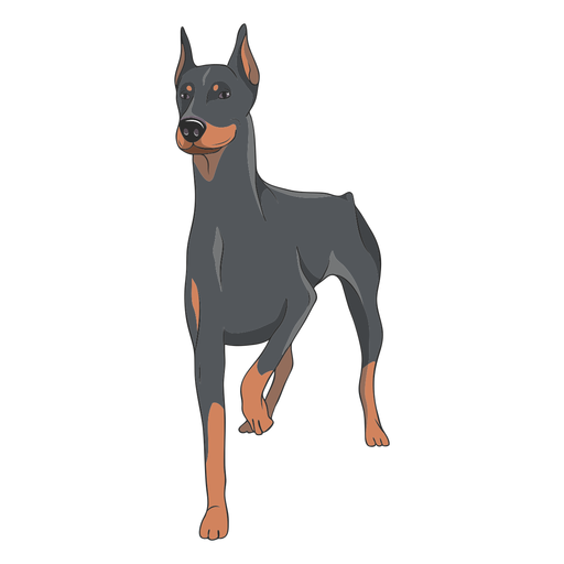 Doberman PNG Isolated HD