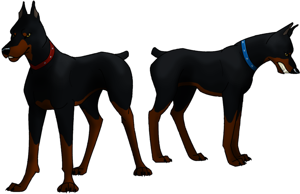 Doberman PNG Isolated Photo