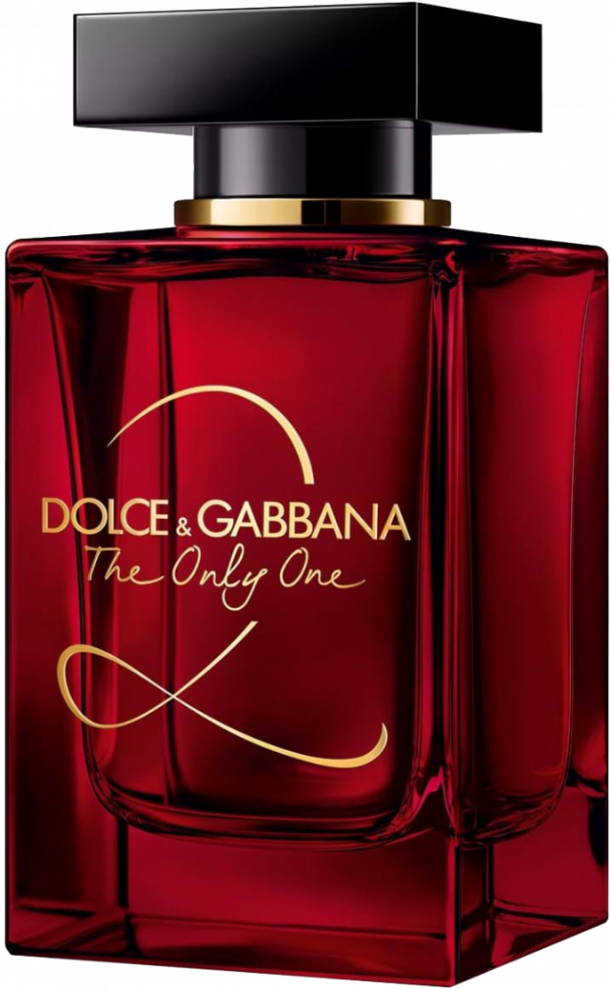 Dolce & Gabbana Download PNG Image