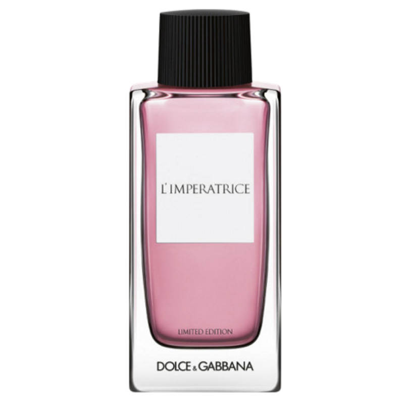 Dolce & Gabbana PNG Free Download