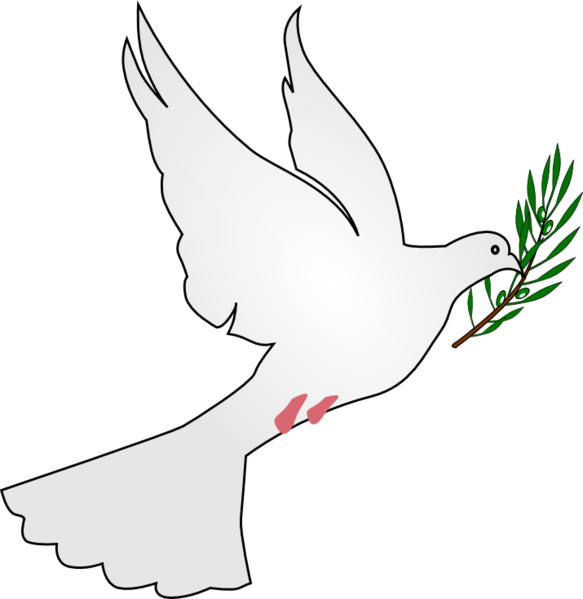 Dove PNG Clipart