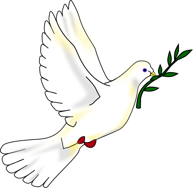 Dove PNG Free Download