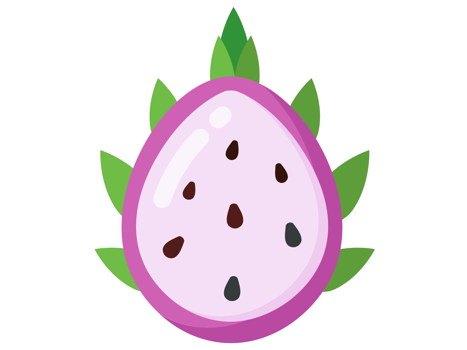 Dragon Fruit PNG HD Isolated