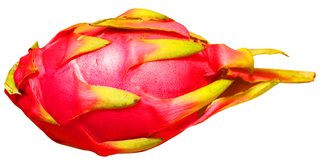 Dragon Fruit PNG Isolated File