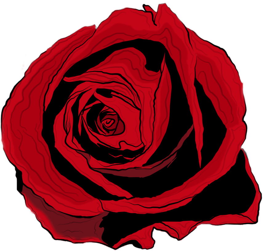 Drawing Of A Rose Download PNG Image
