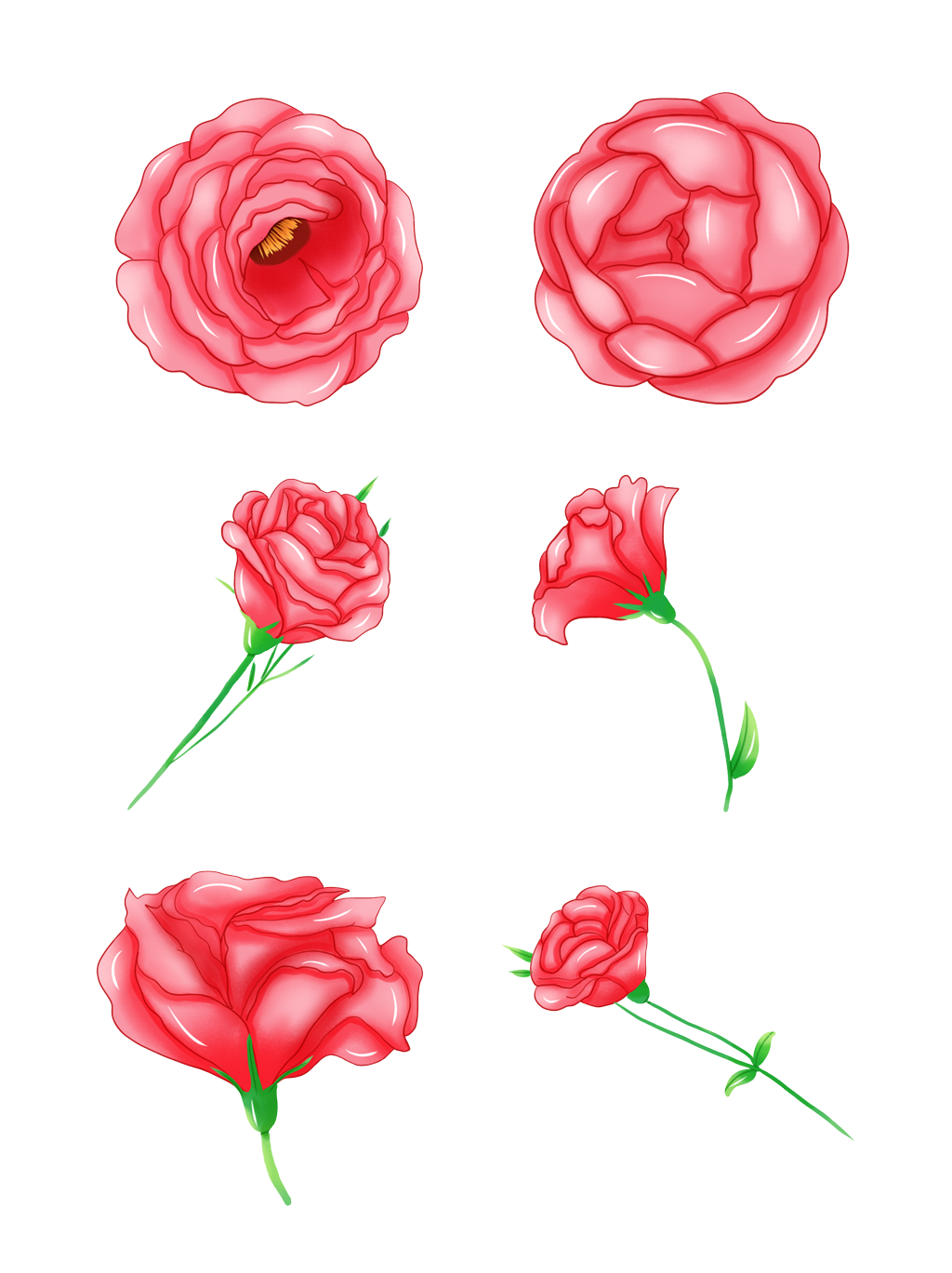 Drawing Of A Rose PNG Clipart