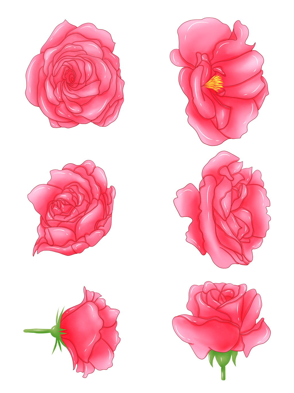 Drawing Of A Rose PNG File