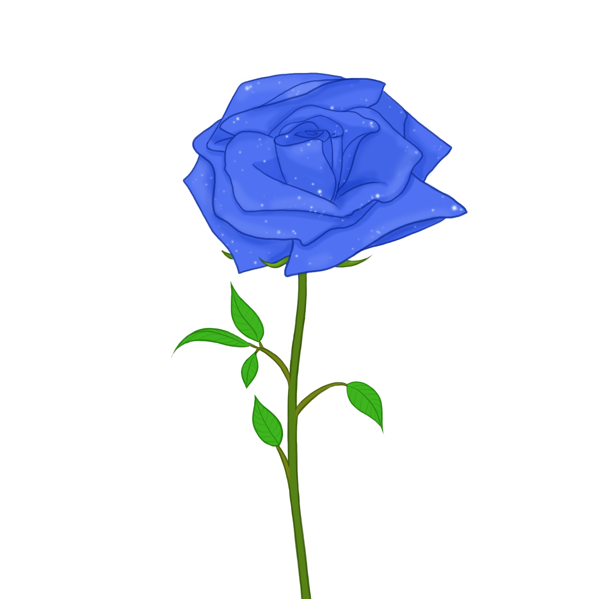 Drawing Of A Rose PNG Free Download