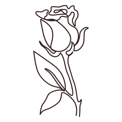 Drawing Of A Rose PNG HD Isolated