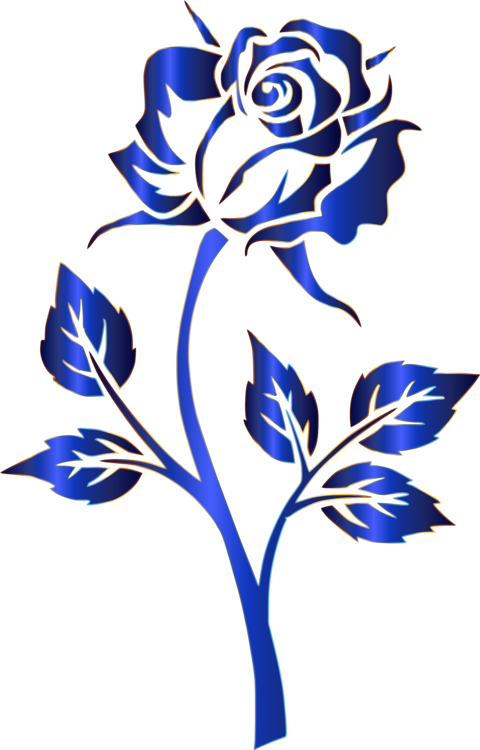 Drawing Of A Rose PNG HD