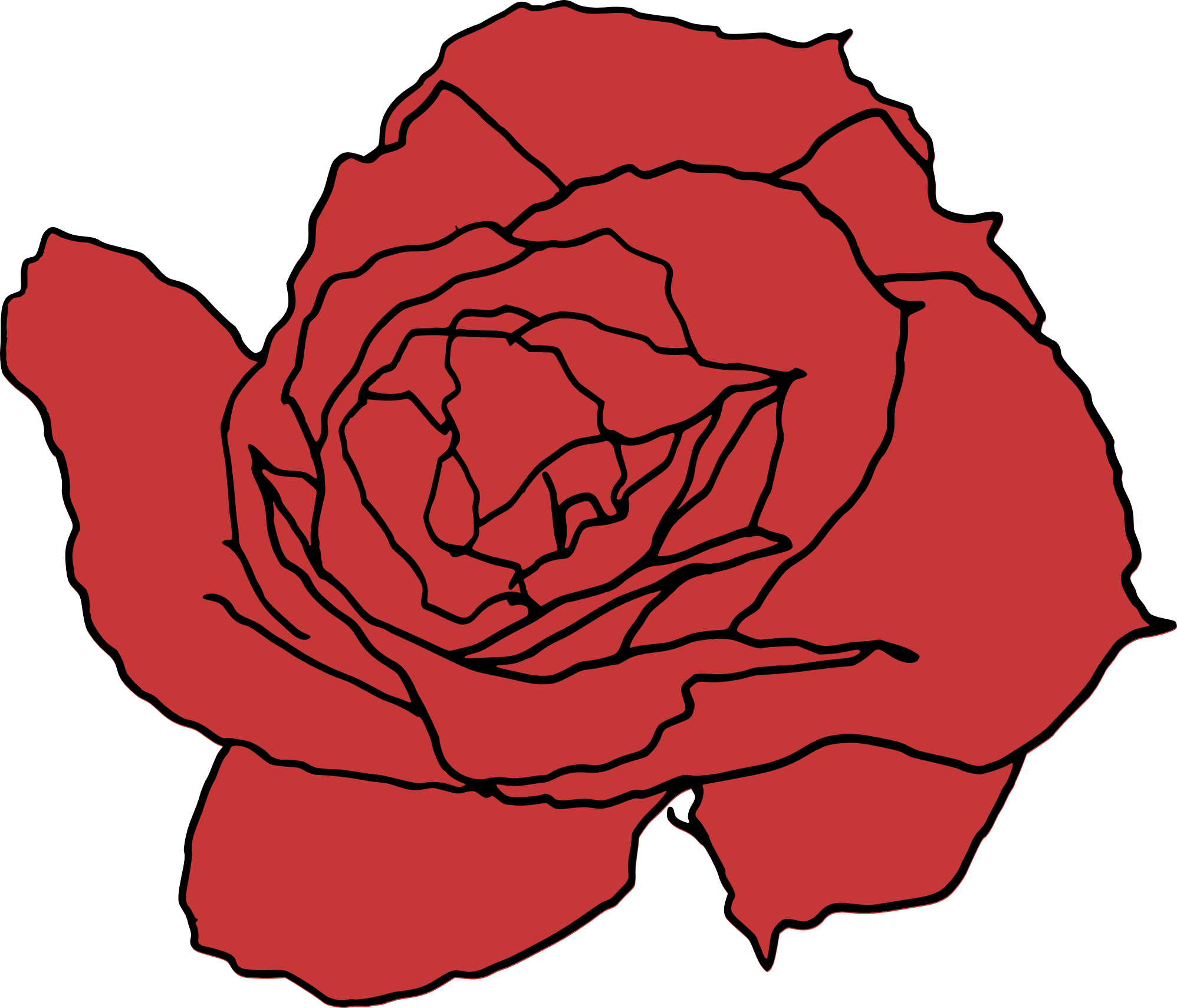 Drawing Of A Rose PNG Isolated File