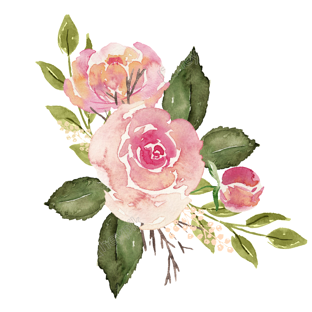 Drawing Of A Rose PNG Photos | PNG Mart