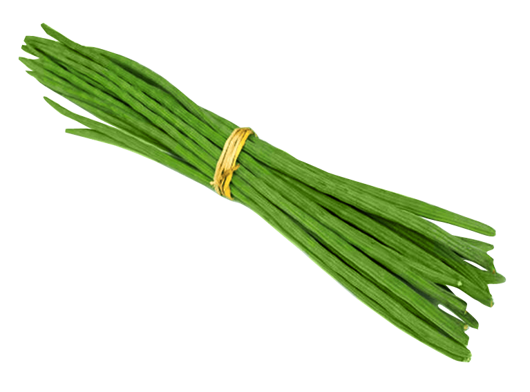 Drumstick PNG Photo