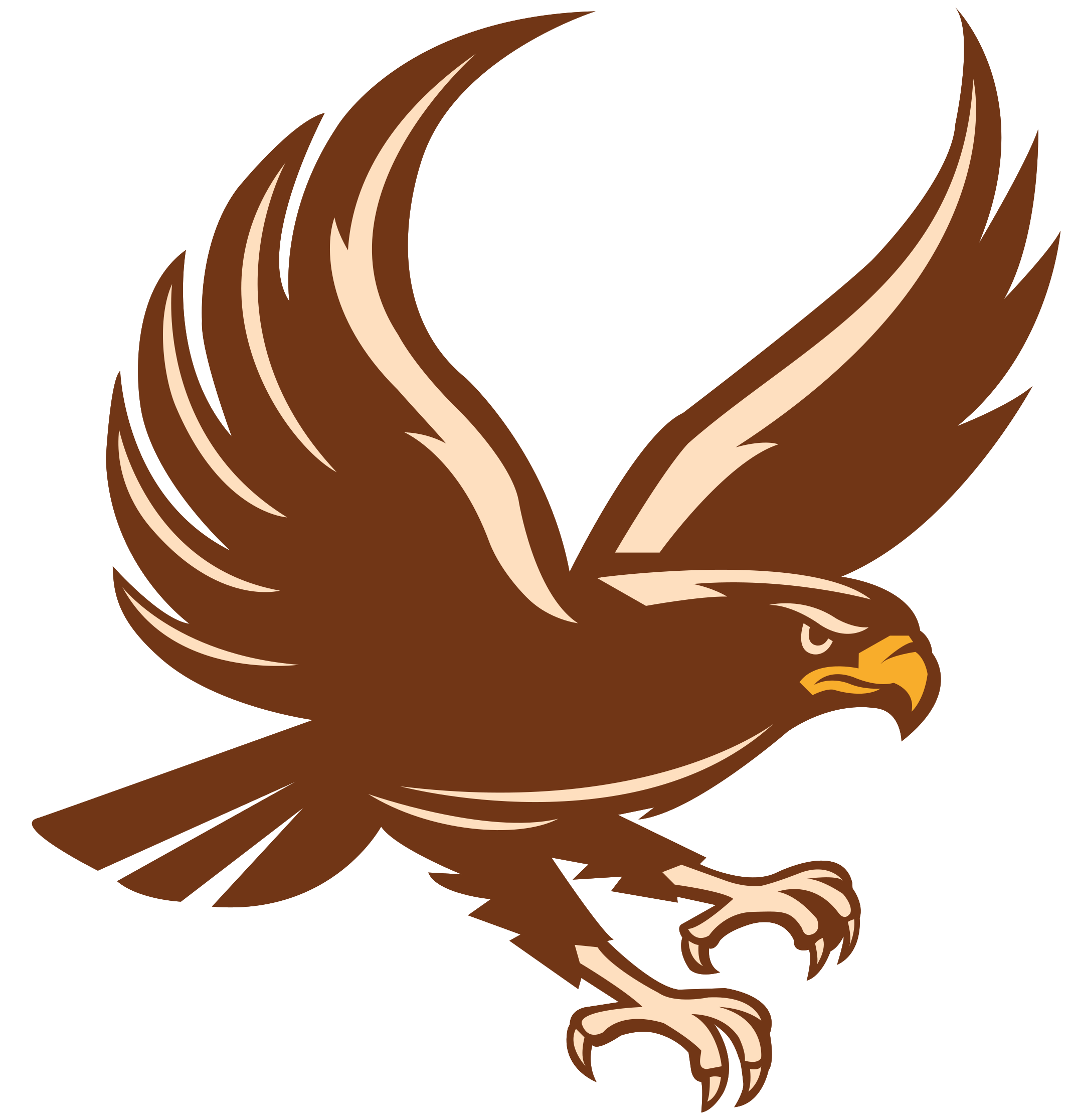 Eagles PNG File