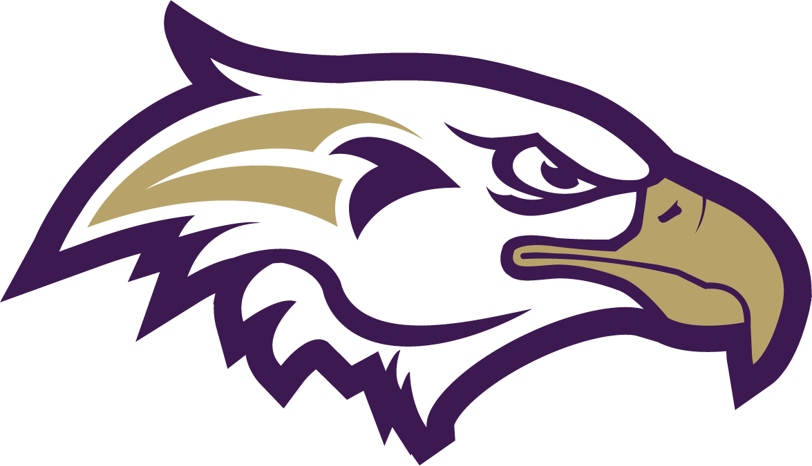 Eagles PNG Isolated File