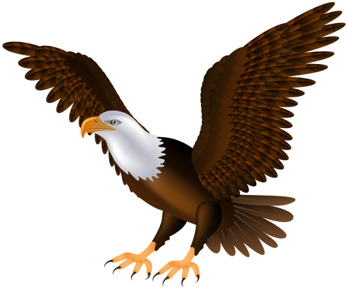 Eagles PNG Isolated Pic