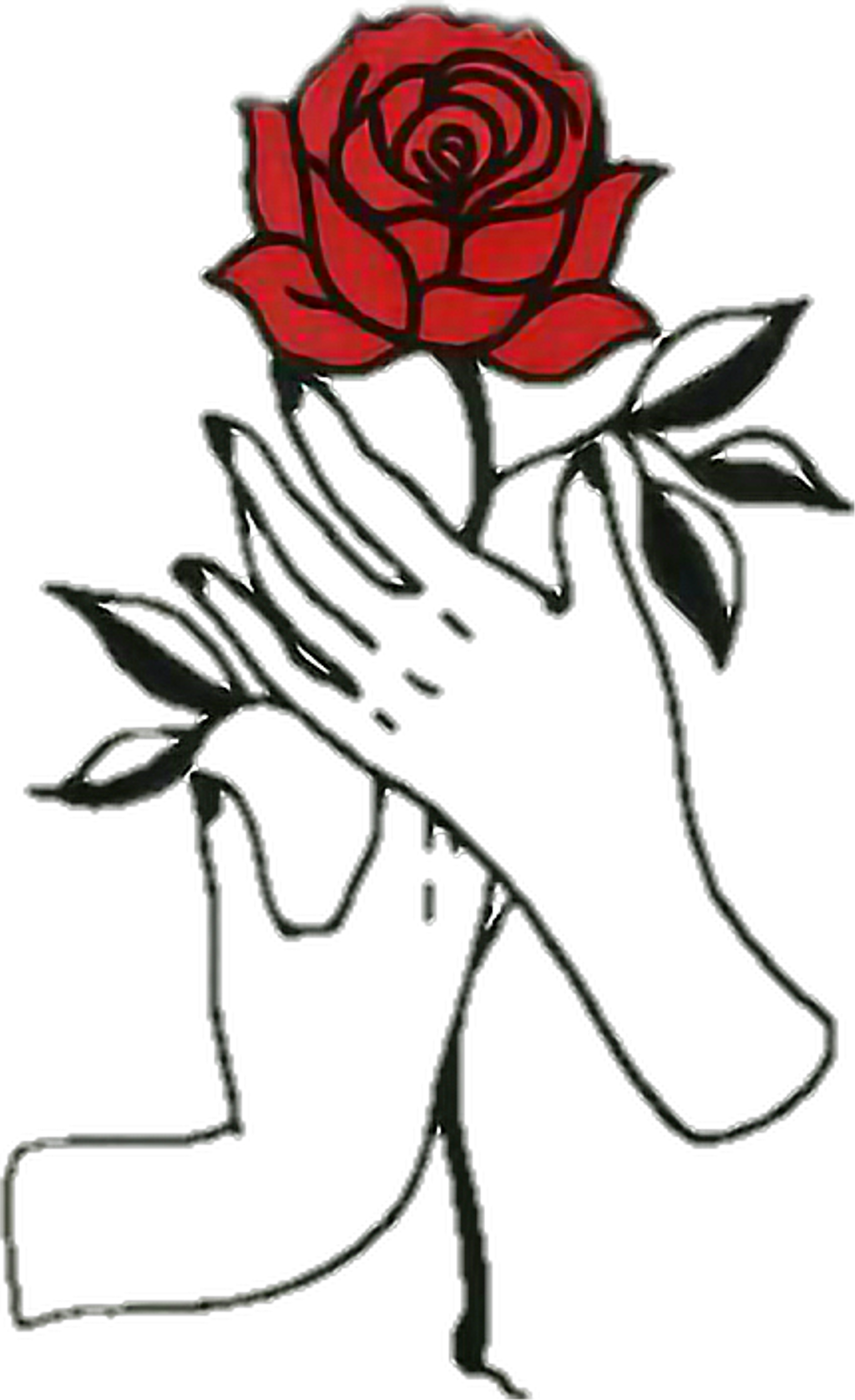 Easy Rose Drawing PNG Isolated File